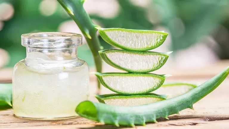 Nha đam: "Thần dược" cho sức khỏe và sắc đẹp