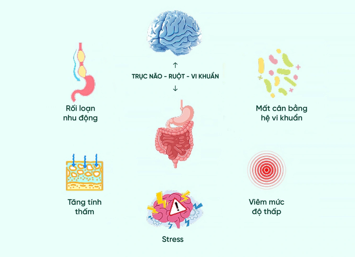 Hội chứng ruột kích thích: Những rối loạn “không thấy tổn thương” nhưng khiến người bệnh khổ sở mỗi ngày