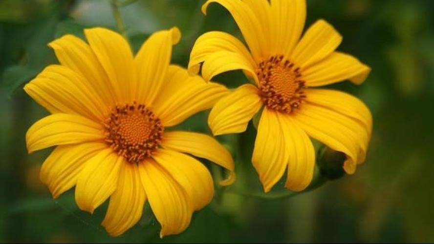 Dự báo thời tiết ngày 24/12/2025: Bắc Bộ sáng sớm có sương mù nhẹ, trưa chiều hửng nắng