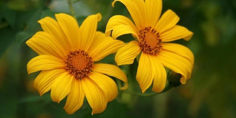 Dự báo thời tiết đêm nay và ngày mai 24/12: Hà Nội và các khu vực trên cả nước