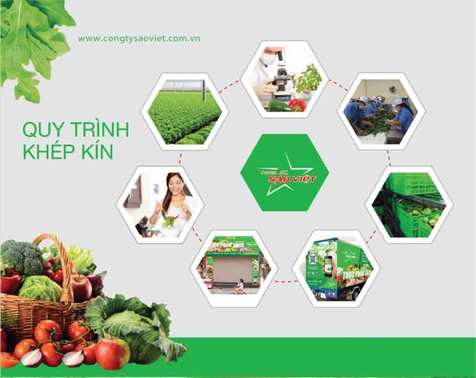 Sao Việt và hành trình gieo mầm thực phẩm sạch cho mỗi bữa ăn