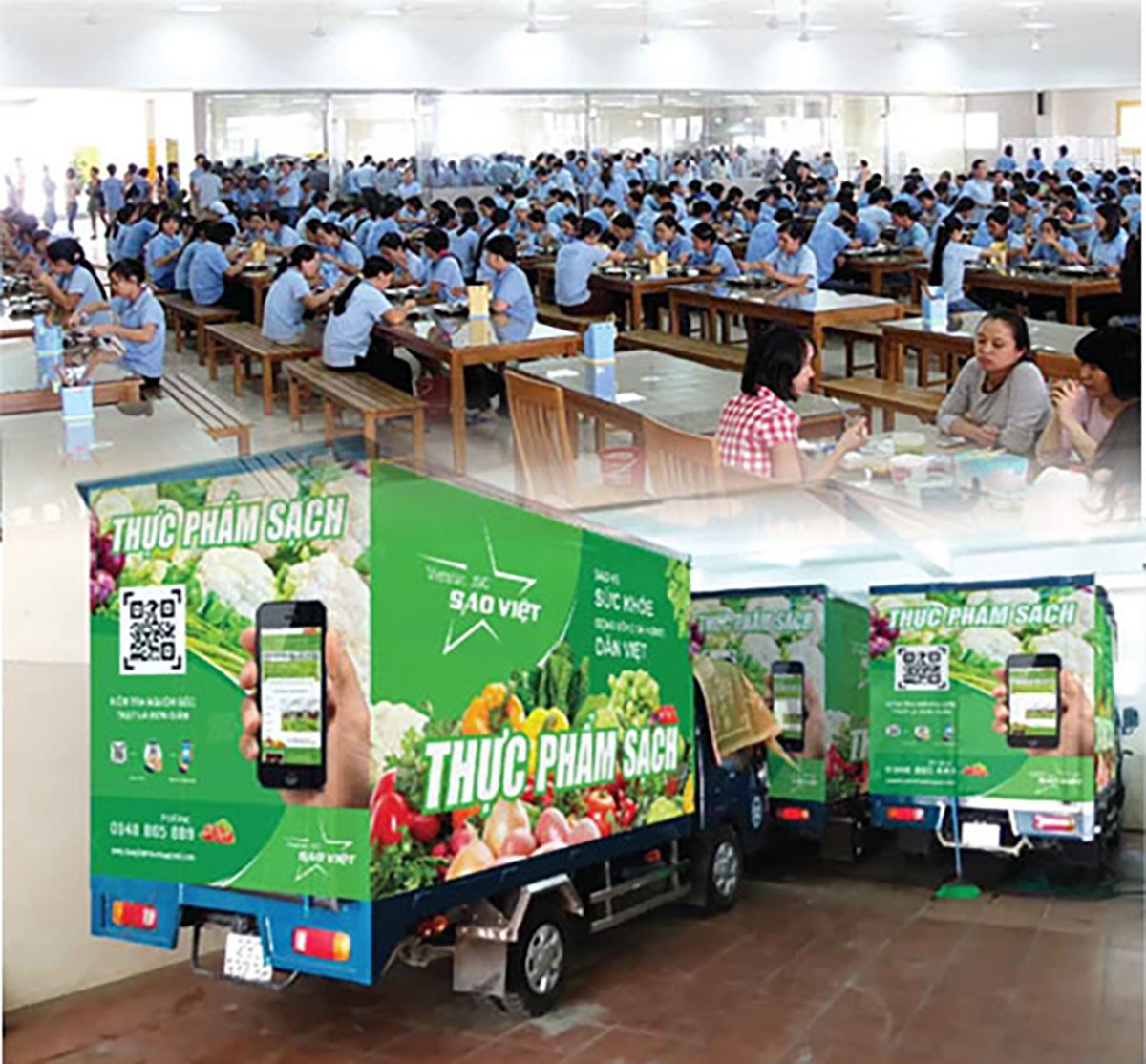 Sao Việt và hành trình gieo mầm thực phẩm sạch cho mỗi bữa ăn