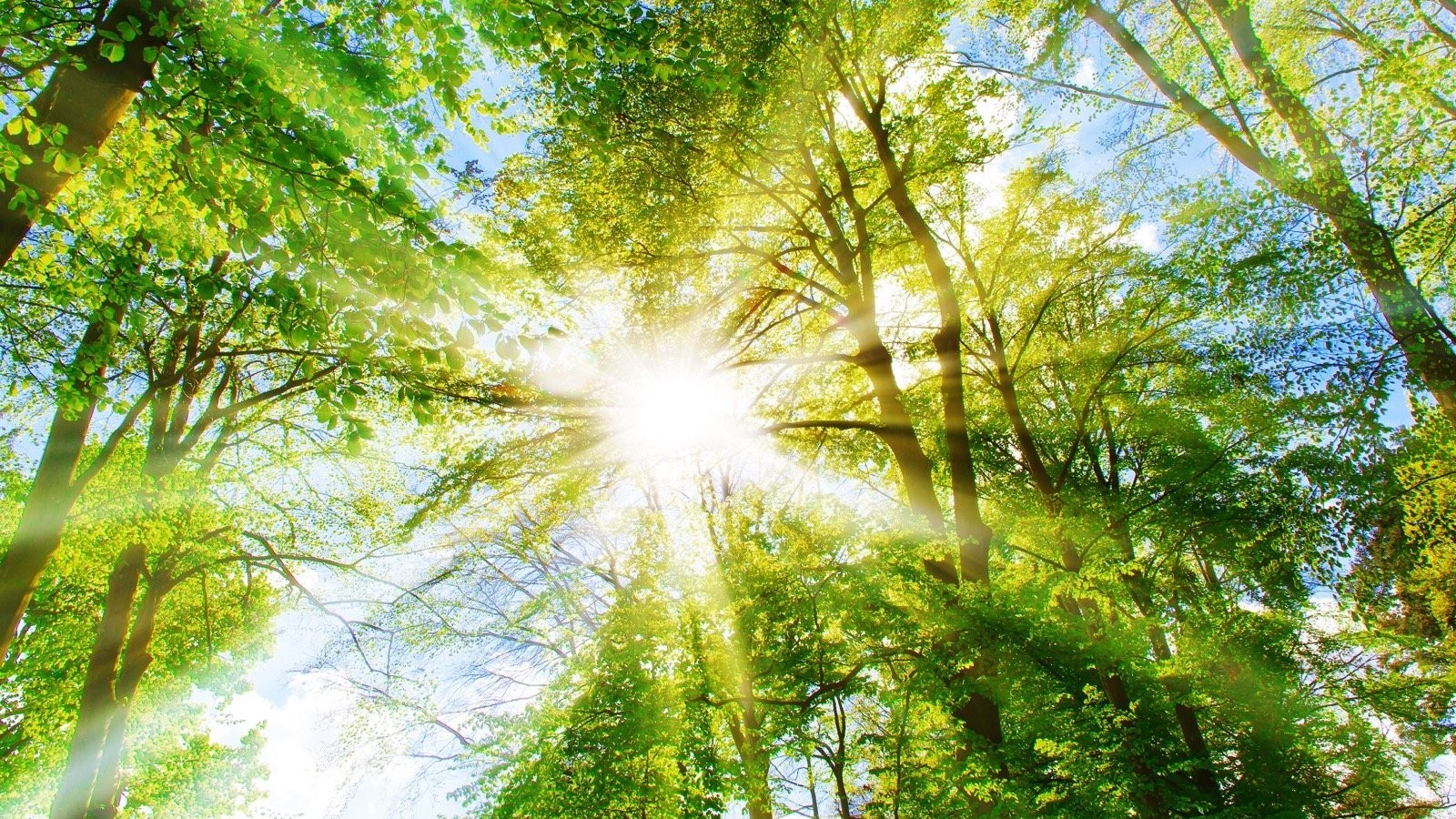 Dự báo thời tiết ngày 27/12/2025: Bắc Bộ trời rét, gió nhẹ