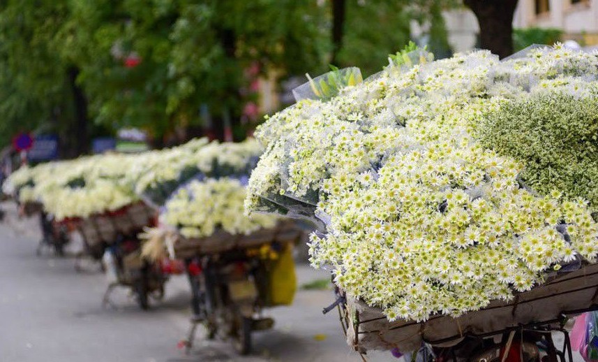 Dự báo thời tiết ngày 29/12/2025: Bắc Bộ sáng sớm có sương mù, trời rét