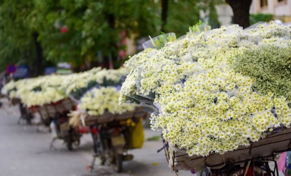 Dự báo thời tiết ngày 29/12/2025: Bắc Bộ sáng sớm có sương mù, trời rét