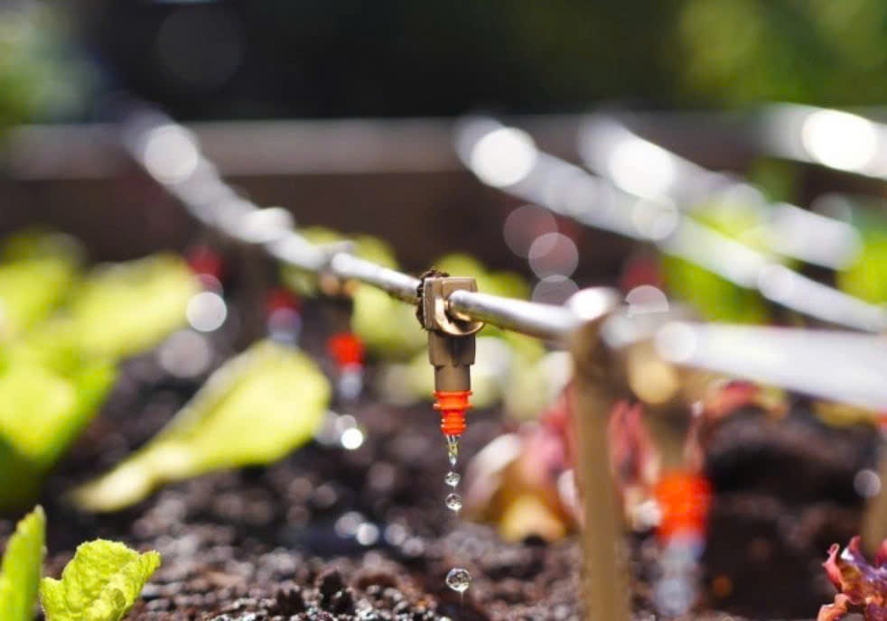 Diễn đàn công nghệ tưới tiết kiệm nước cho nông nghiệp thông minh vùng Nam Trung Bộ – Tây Nguyên