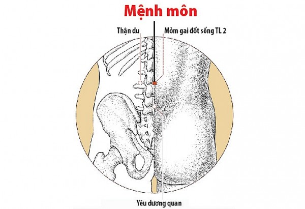 Huyệt Mệnh Môn: “nguồn lửa sinh mệnh” trong y học cổ truyền