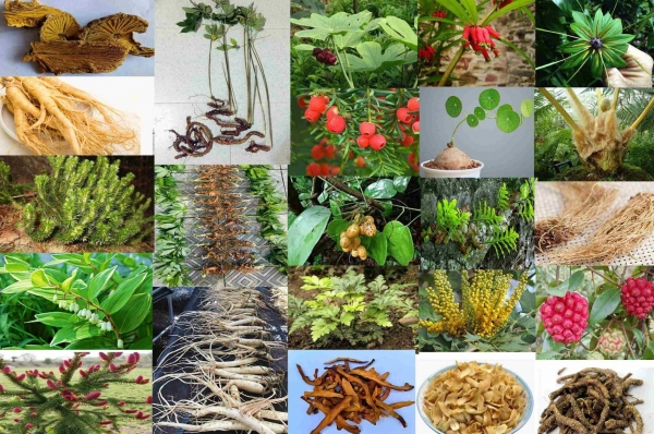 Bộ Y tế ban hành Dược điển Việt Nam VI