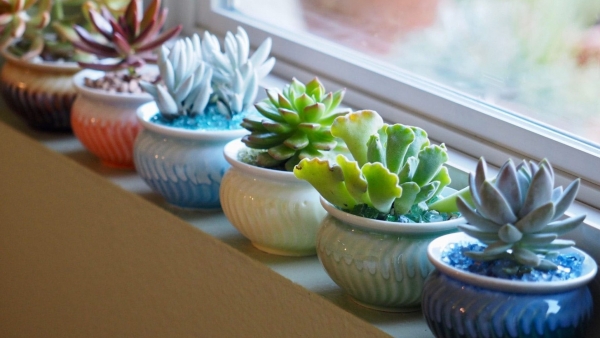 Dự báo thời tiết ngày 31/12/2025: Bắc Bộ sáng sớm có sương mù nhẹ rải rác