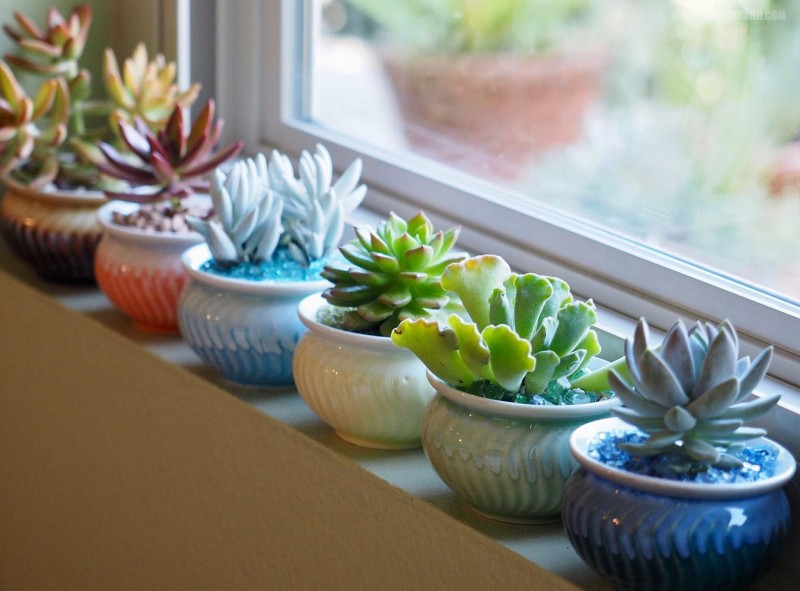 Dự báo thời tiết đêm nay và ngày mai 31/12: Hà Nội và các khu vực trên cả nước