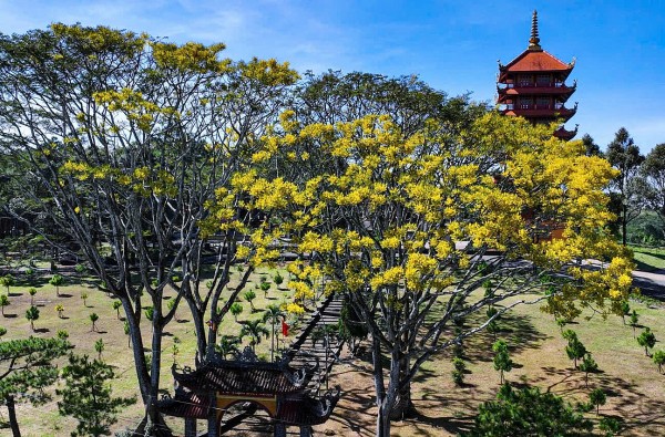 Tu viện Bát Nhã – Không gian tu học thanh tịnh giữa cao nguyên Lâm Đồng