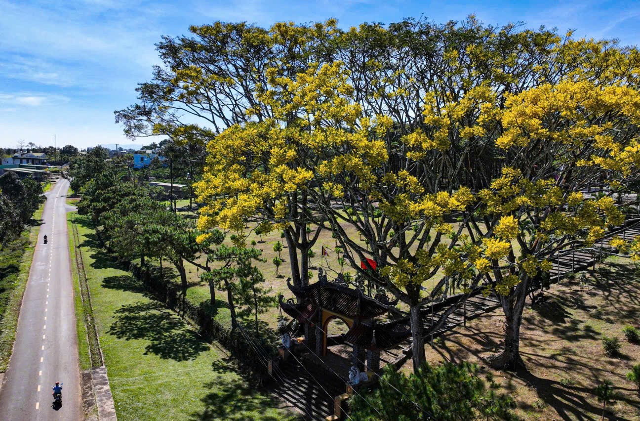 Tu viện Bát Nhã – Không gian tu học thanh tịnh giữa cao nguyên Lâm Đồng
