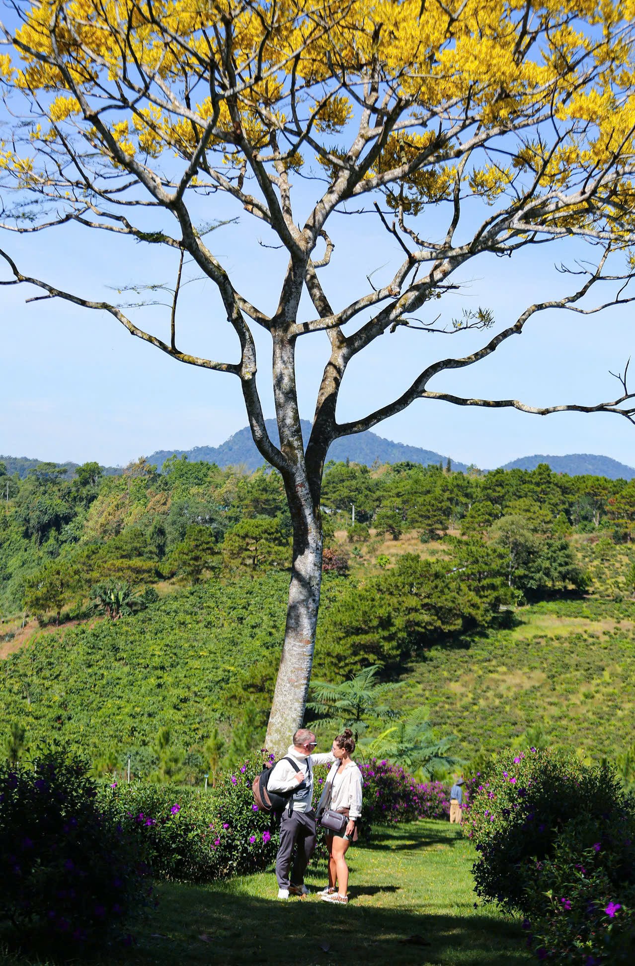 Tu viện Bát Nhã – Không gian tu học thanh tịnh giữa cao nguyên Lâm Đồng