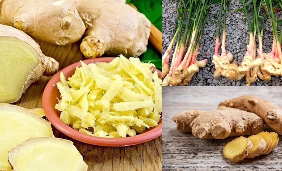 [Infographic] 5 cách chữa viêm thanh quản bằng gừng