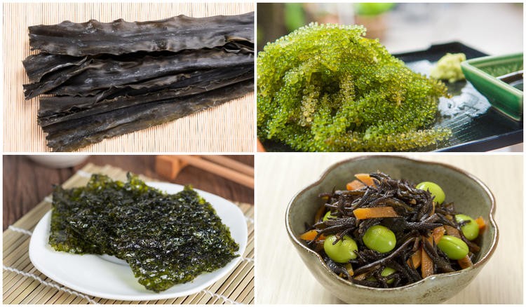 Top thực phẩm giàu chất béo lành mạnh có lợi cho tim mạch