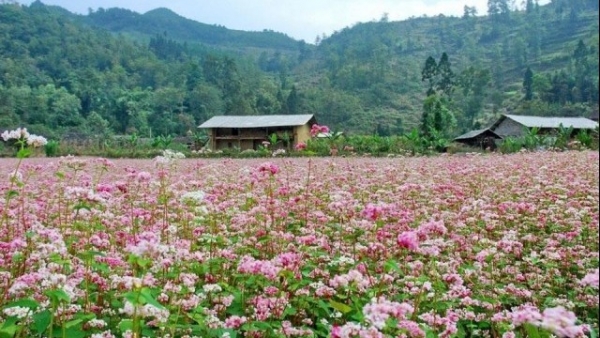 Dự báo thời tiết ngày 4/1/2026: Bắc Bộ trời rét, vùng núi có nơi rét đậm, rét hại