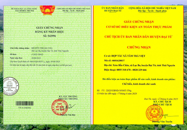 Ông Đỗ Hữu Thuận và hành trình xây dựng trà Việt “sạch từ Tâm”