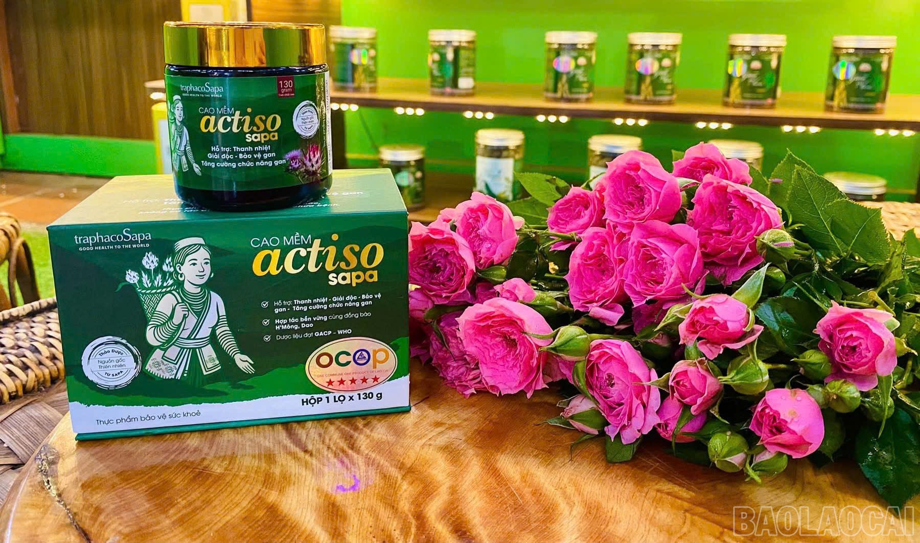 Nhà khoa học của nhà nông và hành trình đưa dược liệu bền vững đến với nông dân Lào Cai