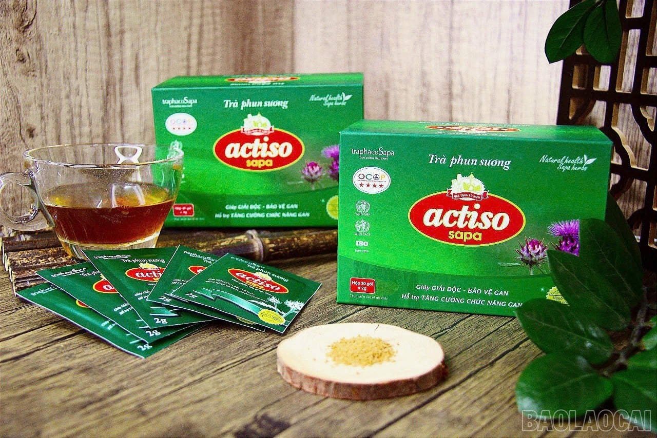 Nhà khoa học của nhà nông và hành trình đưa dược liệu bền vững đến với nông dân Lào Cai