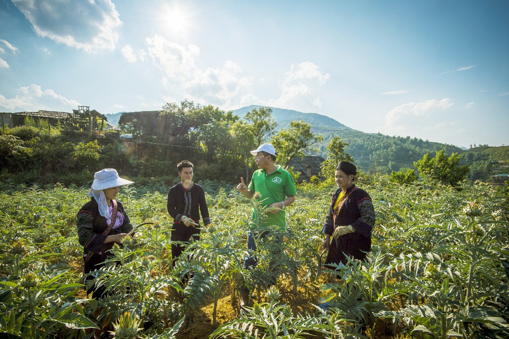 Nhà khoa học của nhà nông và hành trình đưa dược liệu bền vững đến với nông dân Lào Cai