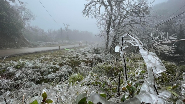 Dự báo thời tiết ngày 7/1/2026: Bắc Bộ trời rét đậm, có nơi rét hại