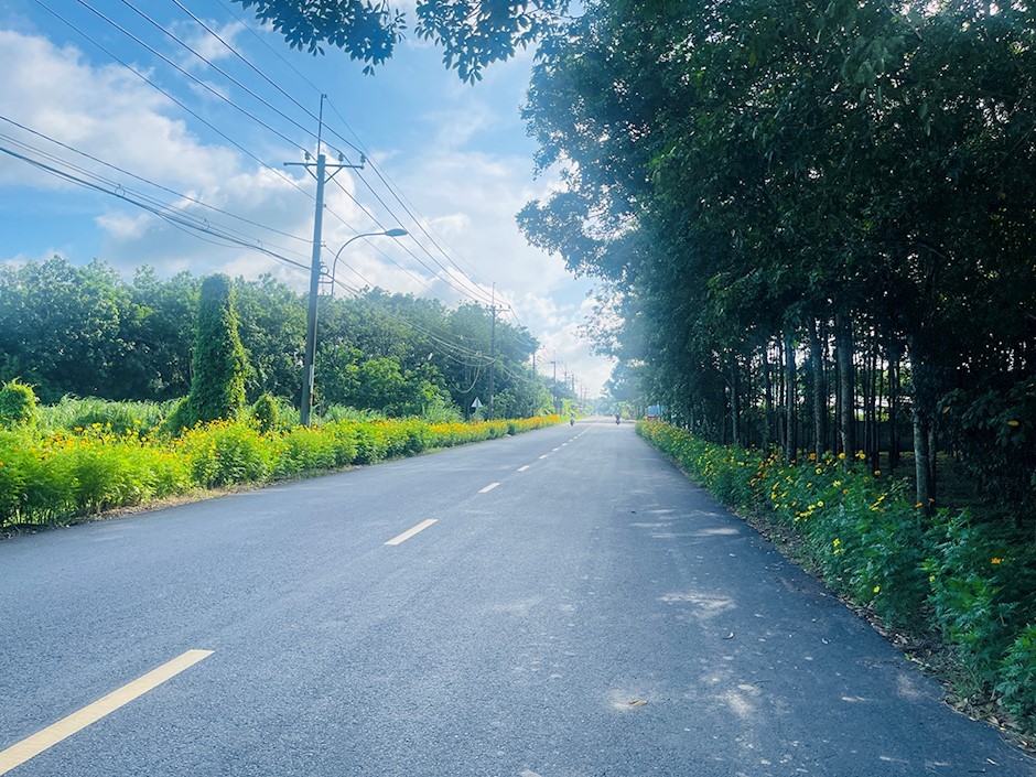 Nông thôn mới trong lòng đô thị TP. Hồ Chí Minh: Hướng tới không gian sống xanh, văn minh, bền vững