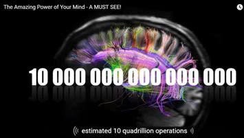 GIẢI MÃ KHOA HỌC NÃO BỘ (TÂM THỨC): TRÍ NHỚ, QUÊN, SUY GIẢM BỆNH LÝ VÀ MẤT TRÍ NHỚ