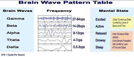 GIẢI MÃ KHOA HỌC NÃO BỘ (TÂM THỨC): TRÍ NHỚ, QUÊN, SUY GIẢM BỆNH LÝ VÀ MẤT TRÍ NHỚ