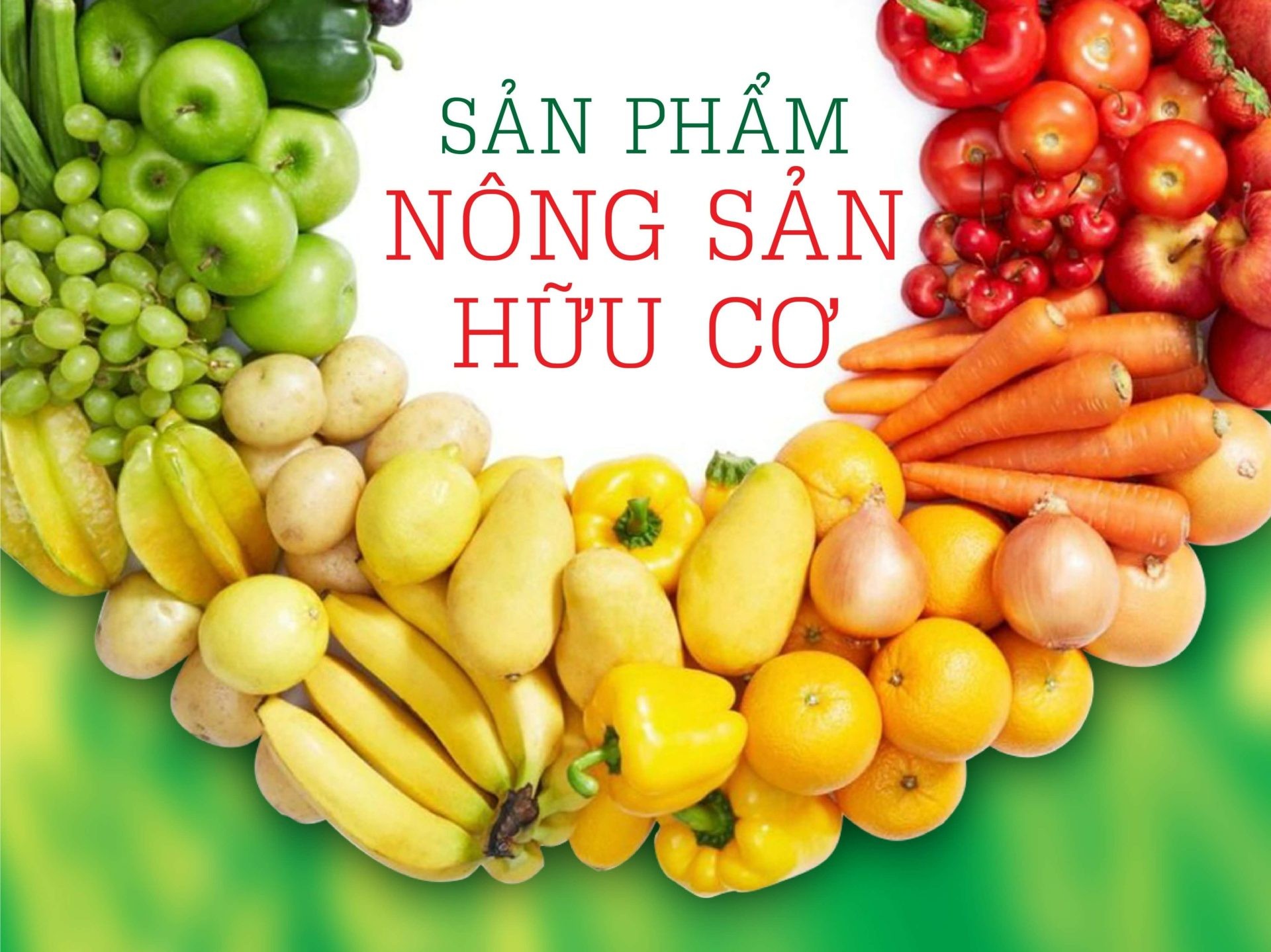 So sánh giá trị dinh dưỡng giữa nông sản hữu cơ và nông sản thông thường So sánh giá trị dinh dưỡng giữa nông sản hữu cơ và nông sản thông thường