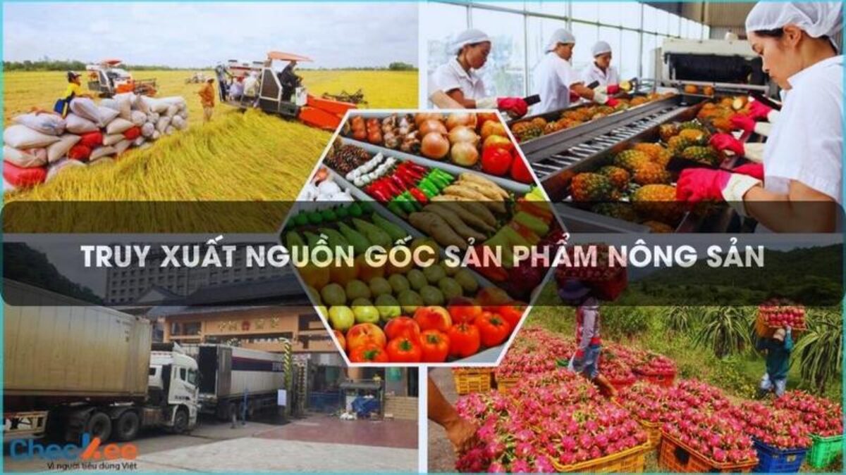 CHECKEE AGR - Hệ thống truy xuất nguồn gốc nông sản