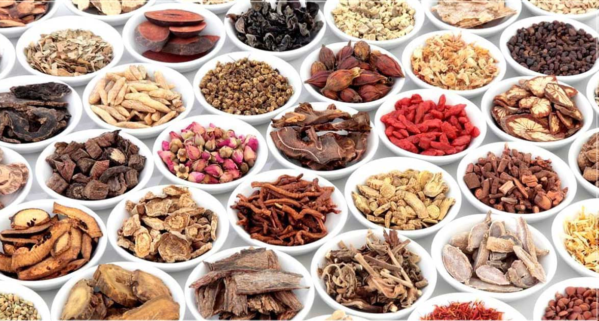 Nông sản trong y học cổ truyền: Thực phẩm cũng là vị thuốc