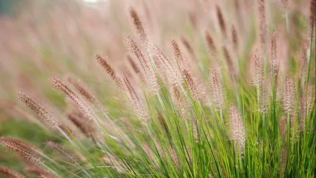 Dự báo thời tiết ngày 15/1/2026: Bắc Bộ nhiều mây, chiều tối có mưa rải rác