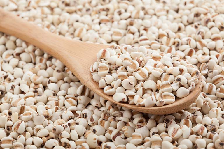 Ý dĩ: Từ bài thuốc dân gian đến những lưu ý khoa học cho người dùng