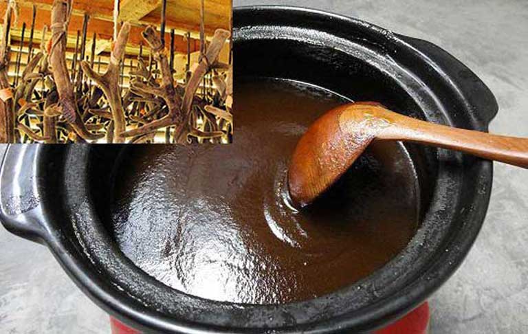 Cao ban long – Dược liệu quý cổ truyền, dùng đúng cách để phát huy giá trị bồi bổ