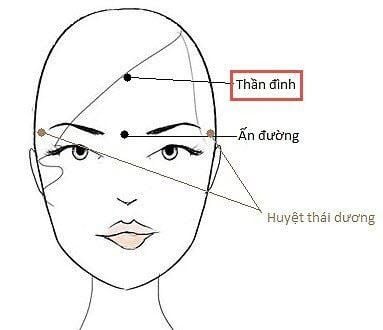 Hình thành trí nhớ và cách khôi phục trí nhớ bằng y học cổ truyền