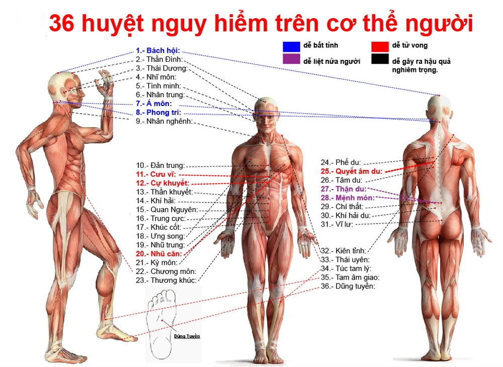 Hình thành trí nhớ và cách khôi phục trí nhớ bằng y học cổ truyền