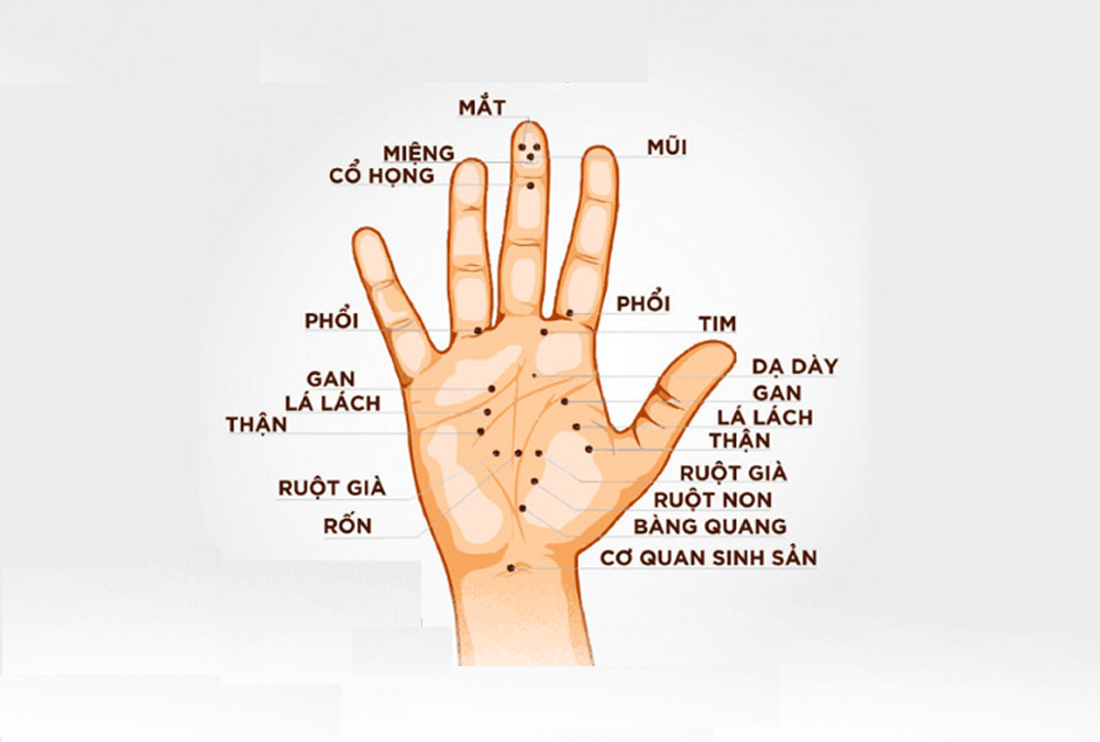 Hình thành trí nhớ và cách khôi phục trí nhớ bằng y học cổ truyền