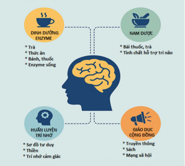 Enzyme học và nam dược học trong phục hồi trí nhớ và tái tạo tế bào thần kinh não bộ