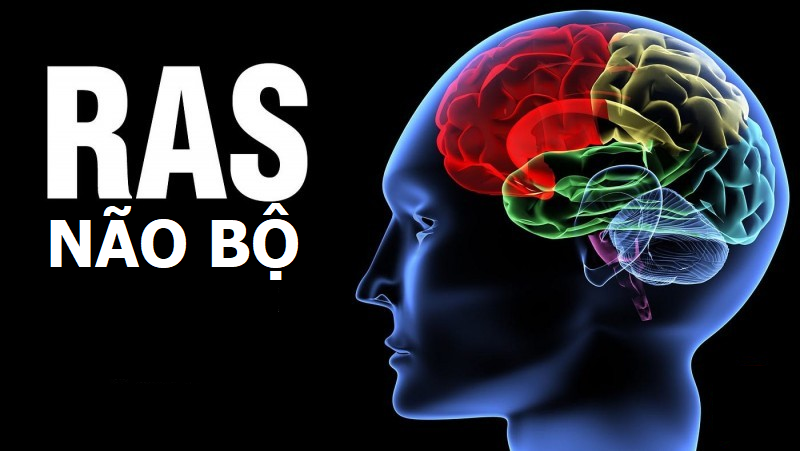 Tiếp cận từ thần kinh học ứng dụng