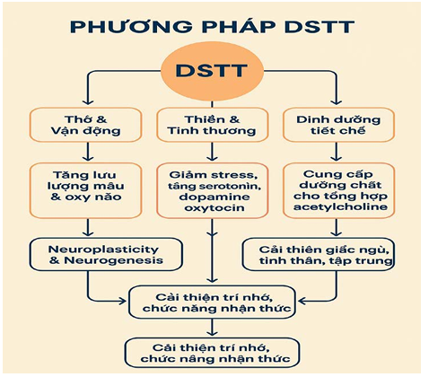Phòng ngừa và phục hồi suy giảm trí nhớ bằng dưỡng sinh tâm thể (DSTT): Cân bằng dinh dưỡng và điều hòa khí huyết não bộ