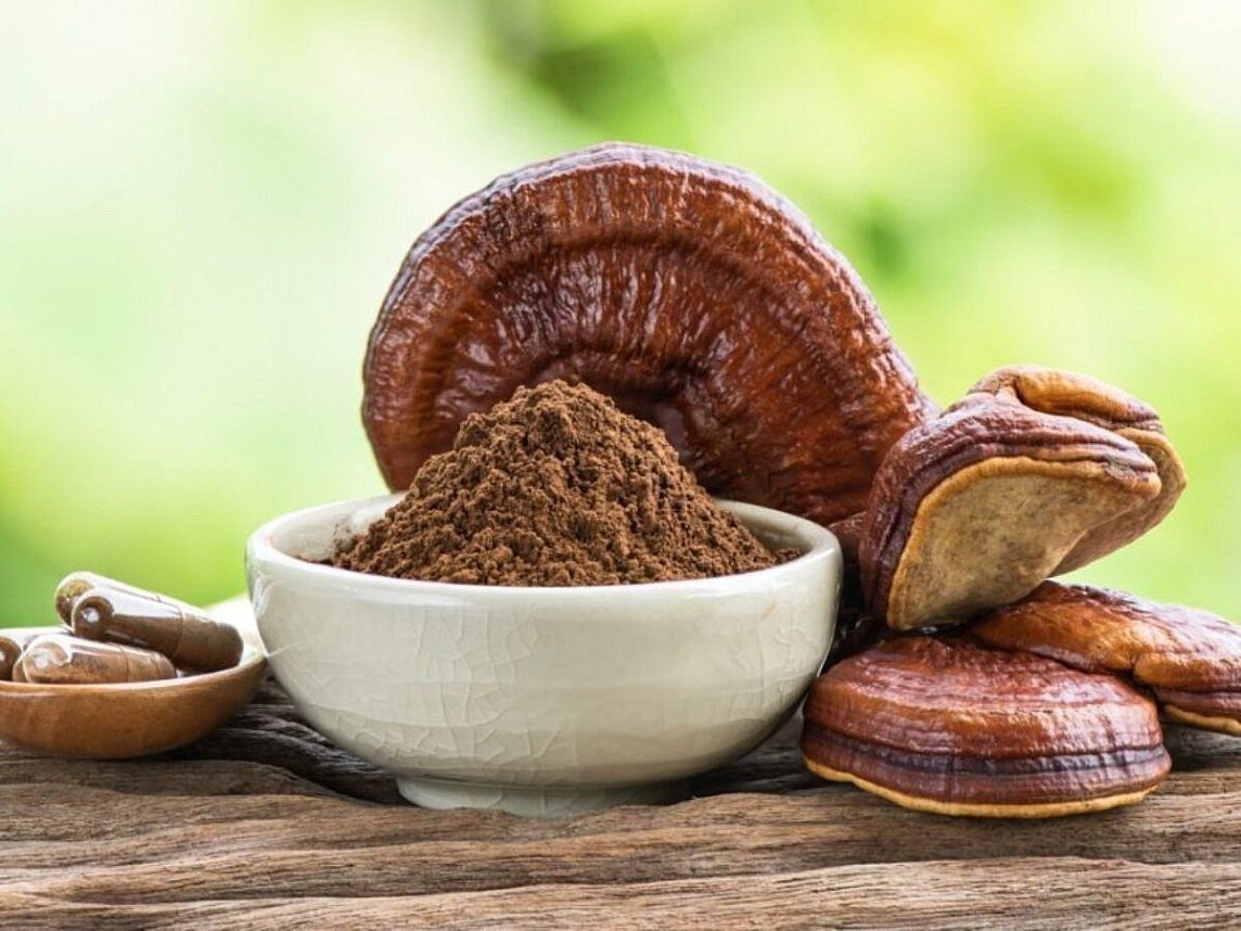 Một số thảo dược hỗ trợ điều trị và phục hồi suy giảm trí nhớ