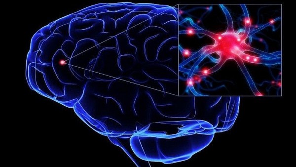 Phòng ngừa và phục hồi suy giảm trí nhớ bằng dưỡng sinh tâm thể (DSTT): Cân bằng dinh dưỡng và điều hòa khí huyết não bộ