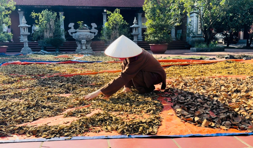 Xịt xoang Triệu Minh – Bài thuốc từ tình thương và trí tuệ