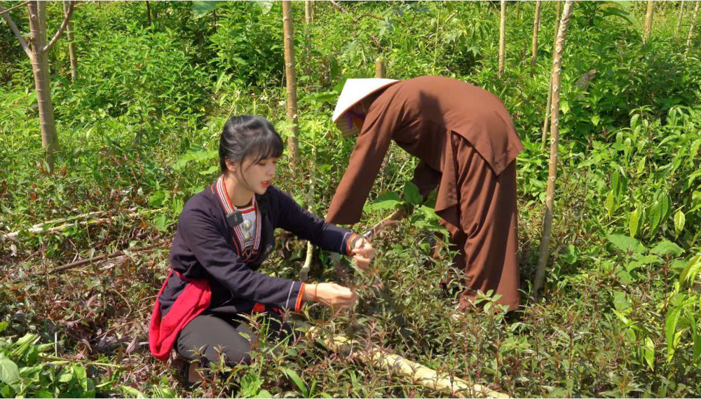 Xịt xoang Triệu Minh – Bài thuốc từ tình thương và trí tuệ