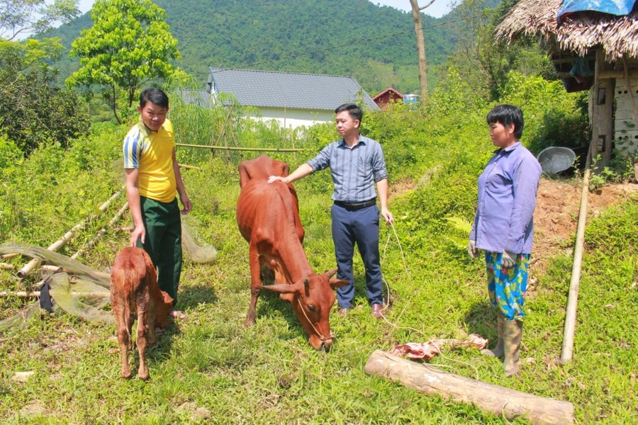 Phú Đình phát triển nông nghiệp bền vững gắn với xây dựng nông thôn mới nâng cao