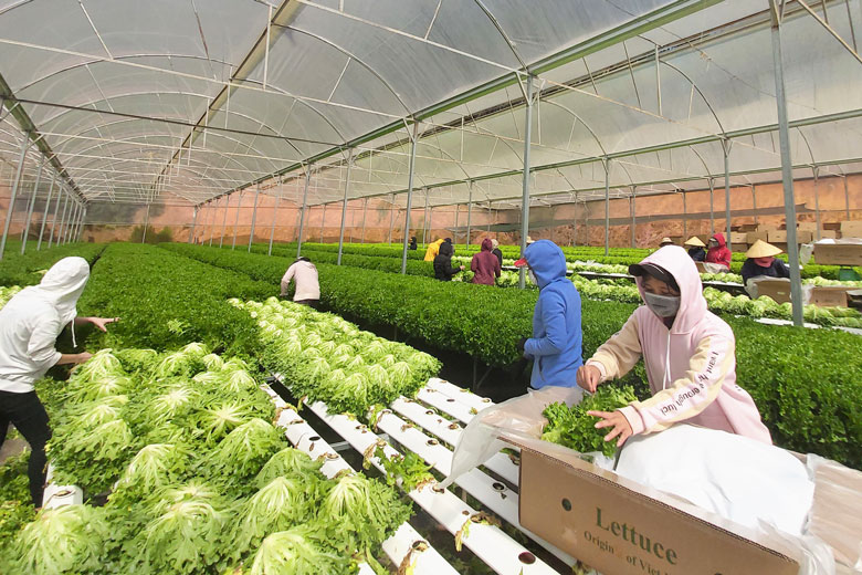 Công nghiệp hóa, hiện đại hóa nông nghiệp – trục phát triển xuyên suốt nhiệm kỳ Đại hội XIII