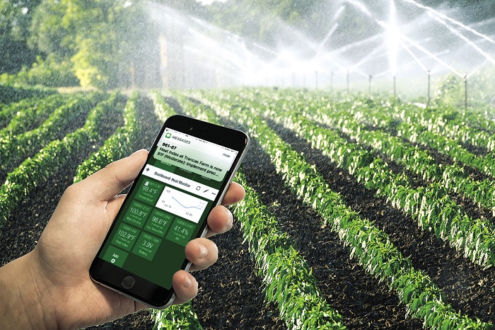 Công nghiệp hóa, hiện đại hóa nông nghiệp – trục phát triển xuyên suốt nhiệm kỳ Đại hội XIII