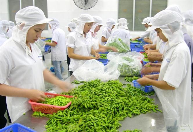 Công nghiệp hóa, hiện đại hóa nông nghiệp – trục phát triển xuyên suốt nhiệm kỳ Đại hội XIII