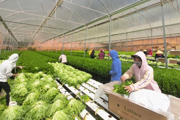 Công nghiệp hóa, hiện đại hóa nông nghiệp – trục phát triển xuyên suốt nhiệm kỳ Đại hội XIII