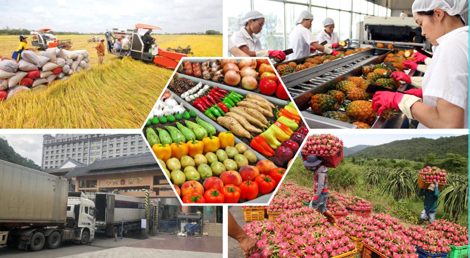 Công nghiệp hóa, hiện đại hóa nông nghiệp – trục phát triển xuyên suốt nhiệm kỳ Đại hội XIII